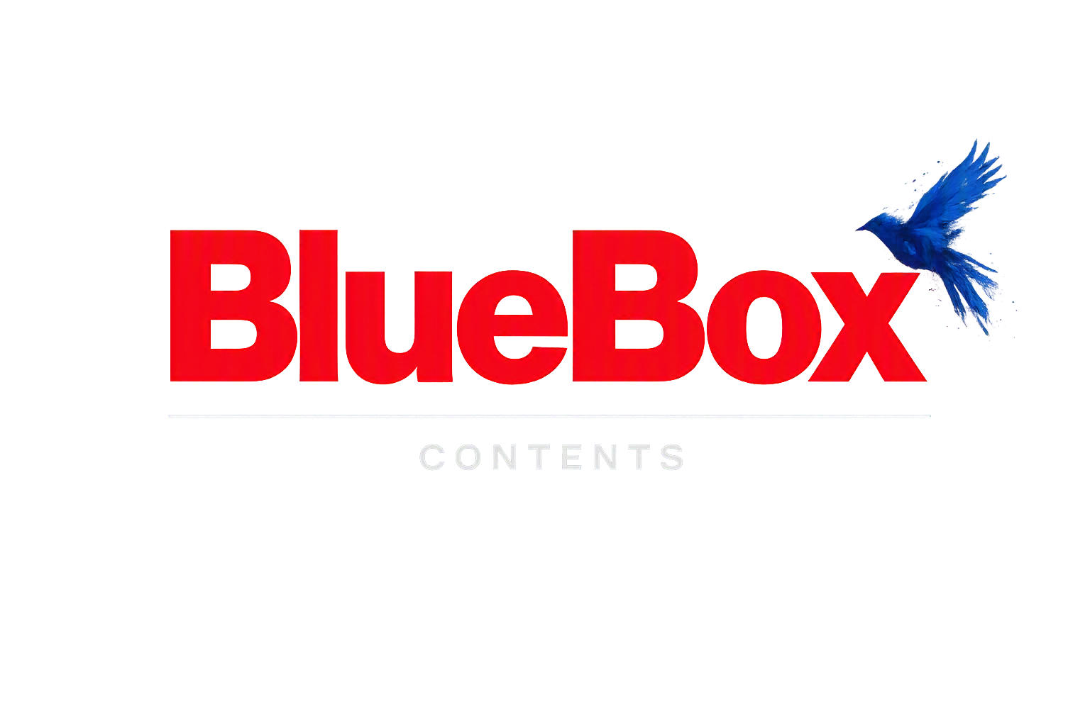 BLUEBOX CONTENTS